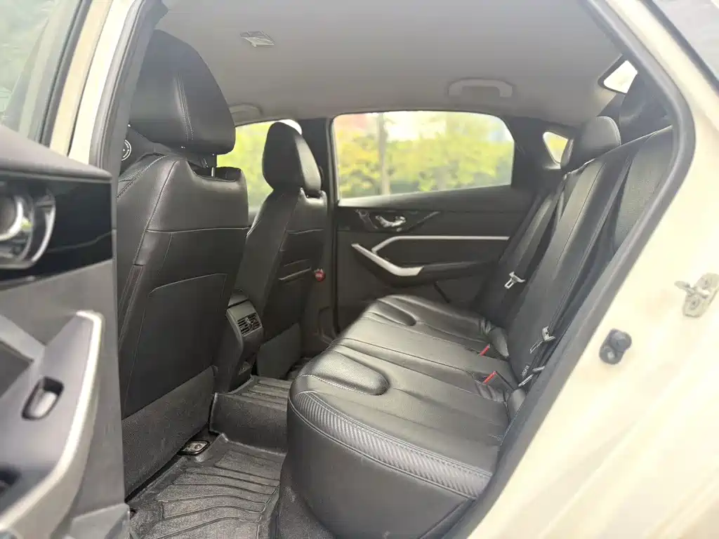 Venucia D60 EV — миниатюра 5
