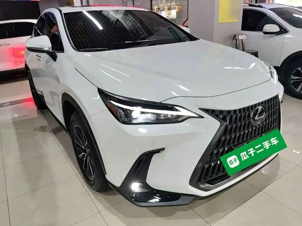 Lexus NX — миниатюра 4