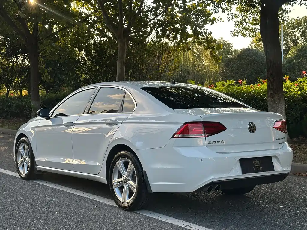 Volkswagen Lamando — миниатюра 5
