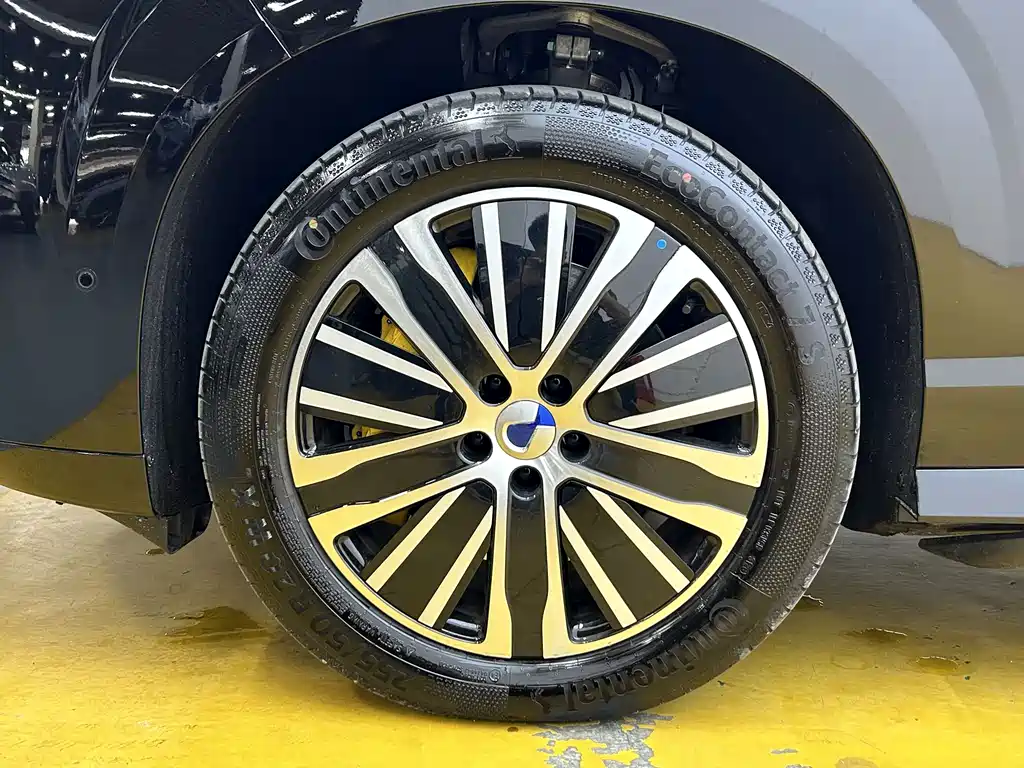 Denza Denza N8L — миниатюра 9
