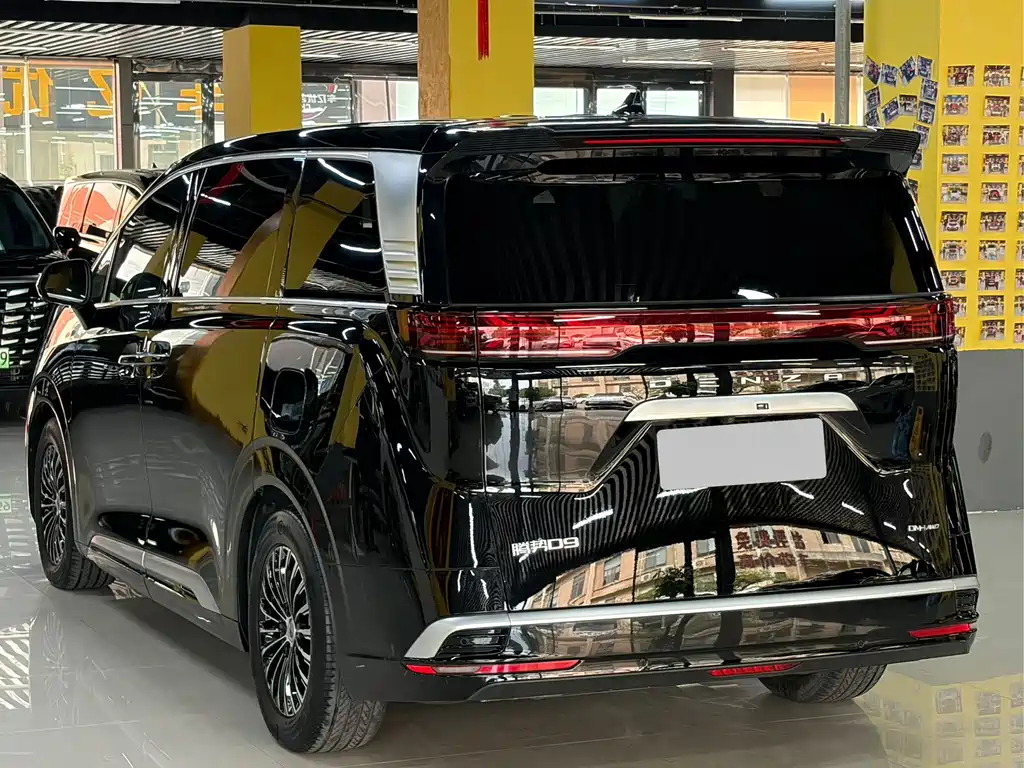 Denza Denza D9 — миниатюра 15