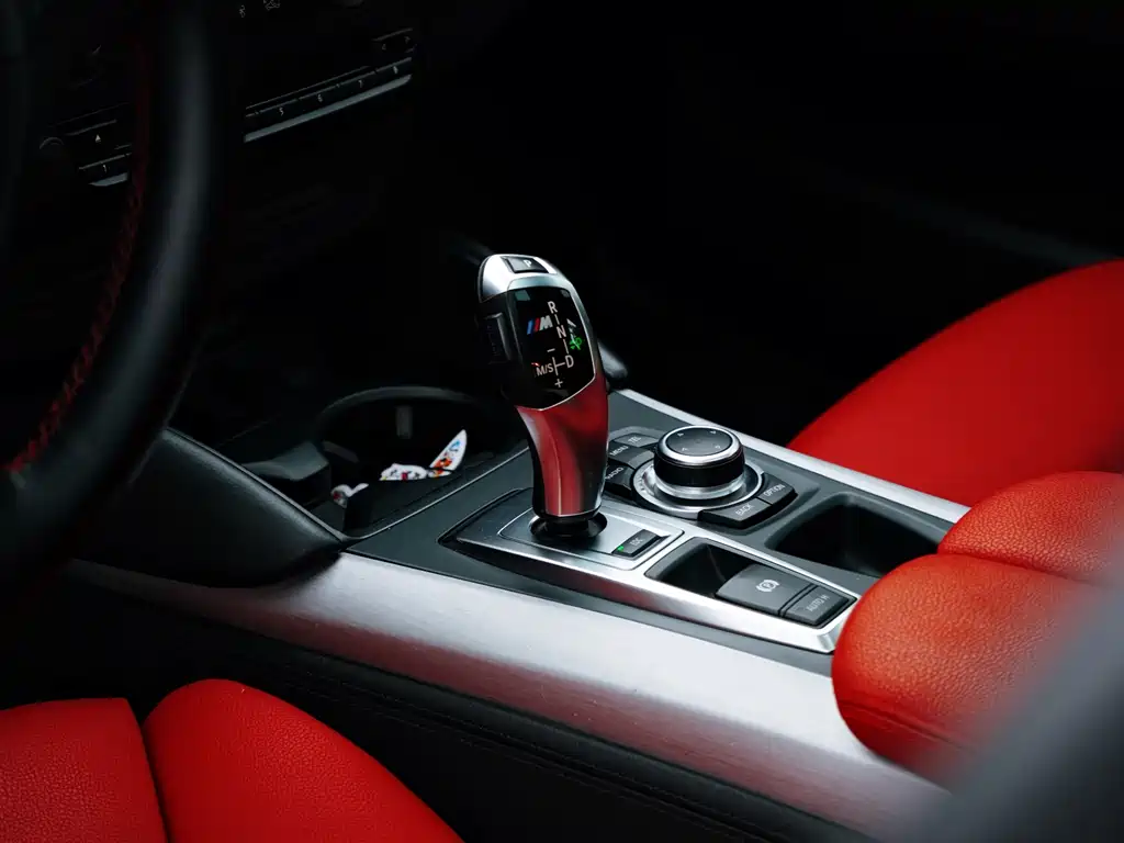 BMW X6 M 2010 X6 M