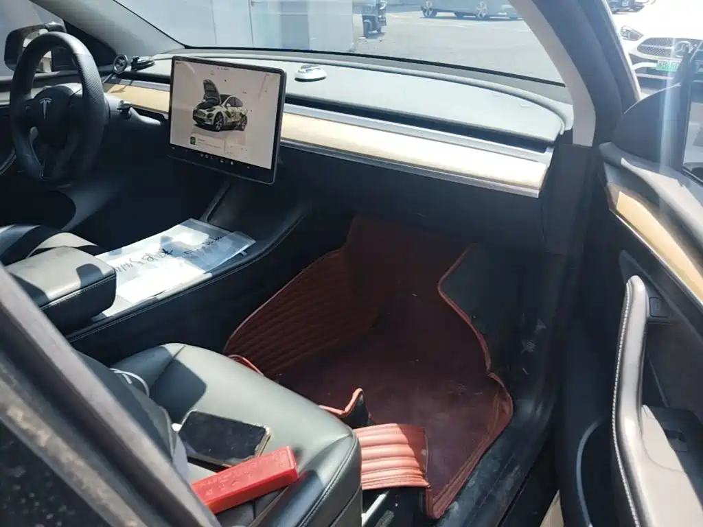 Tesla Model Y — миниатюра 9