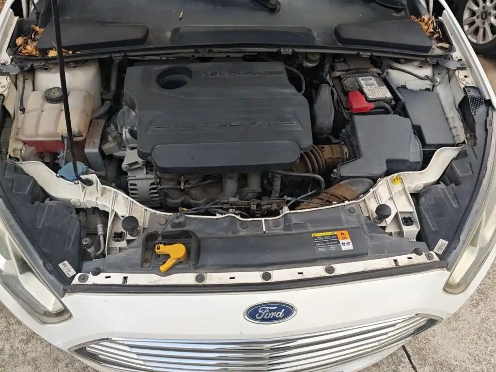Ford Escort — миниатюра 16
