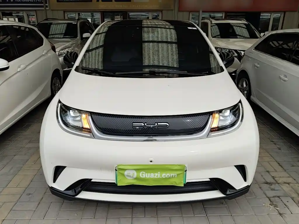BYD Dolphin — миниатюра 3