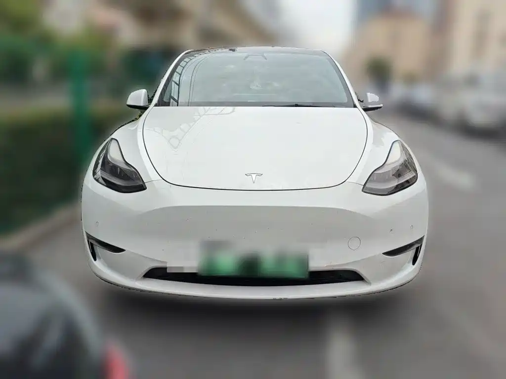 Tesla Model Y — миниатюра 3