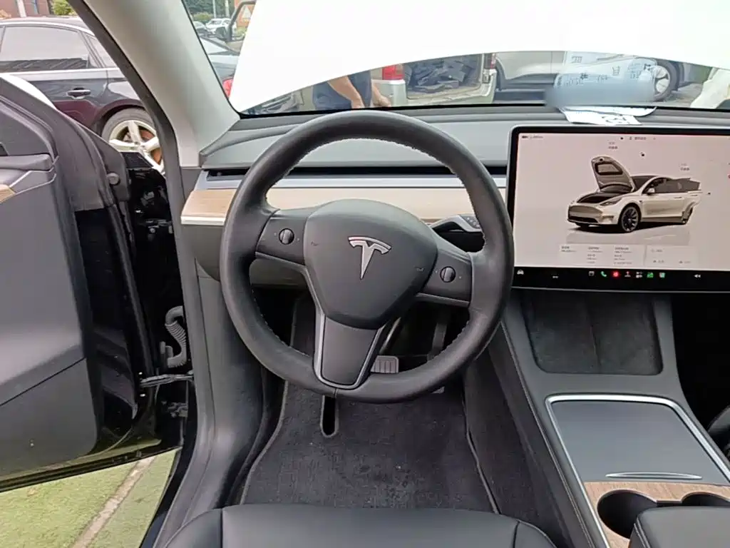 Tesla Model Y — миниатюра 11