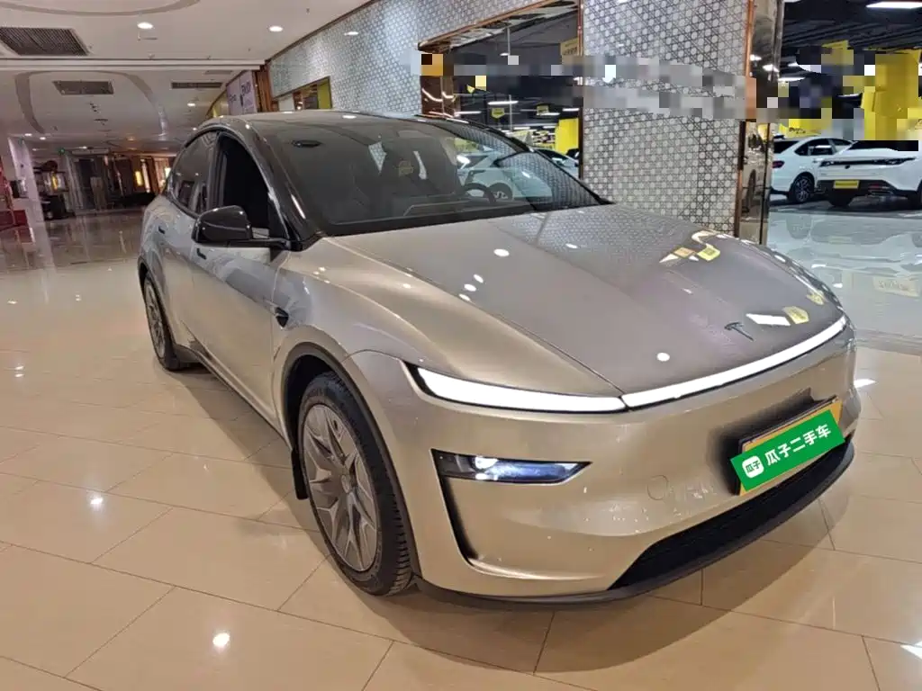 Tesla Model Y L — миниатюра 4