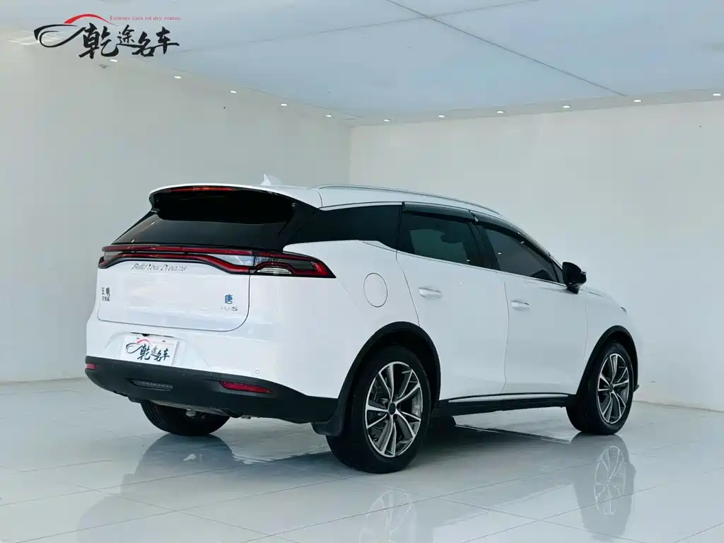 BYD Tang New Energy — миниатюра 7