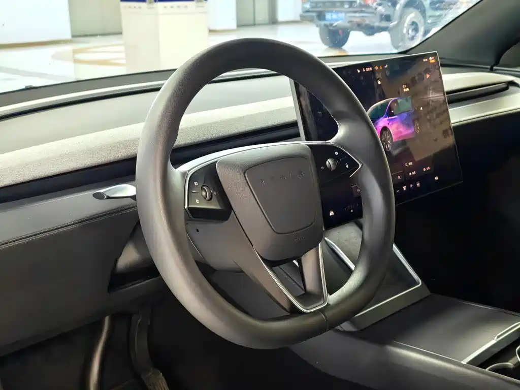 Tesla Model Y L — миниатюра 10