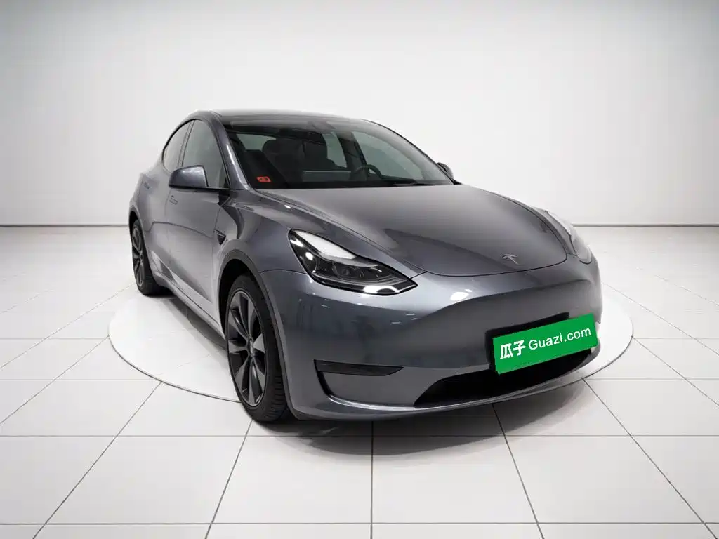 Tesla Model Y — миниатюра 25