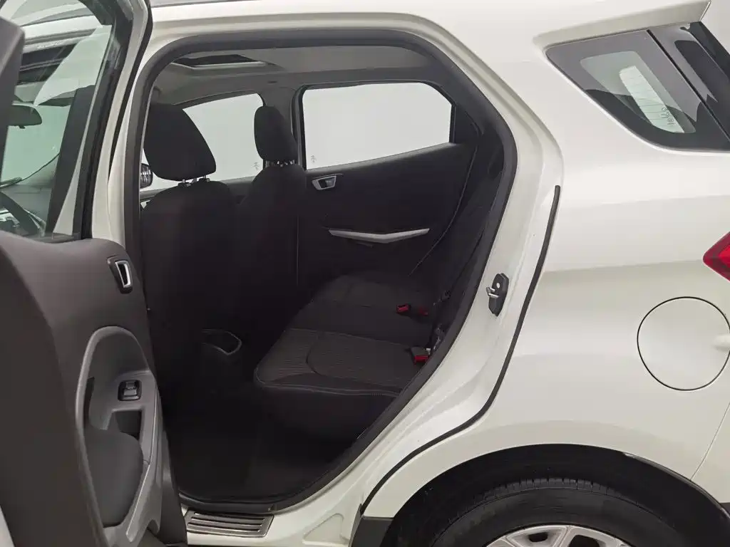 Ford Ecosport — миниатюра 15
