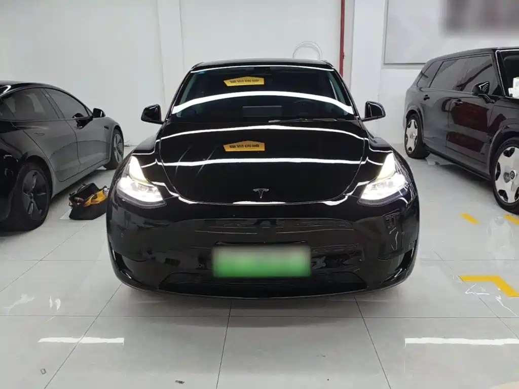 Tesla Model Y — миниатюра 3
