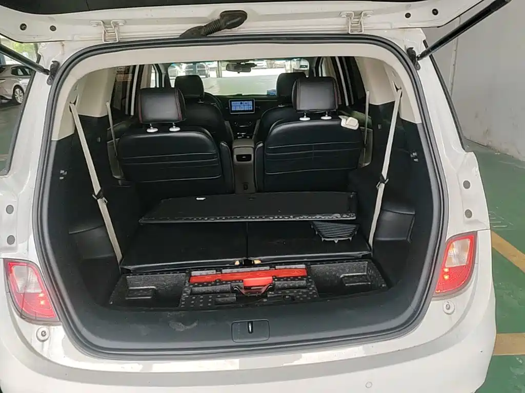 Buick GL6 — миниатюра 19