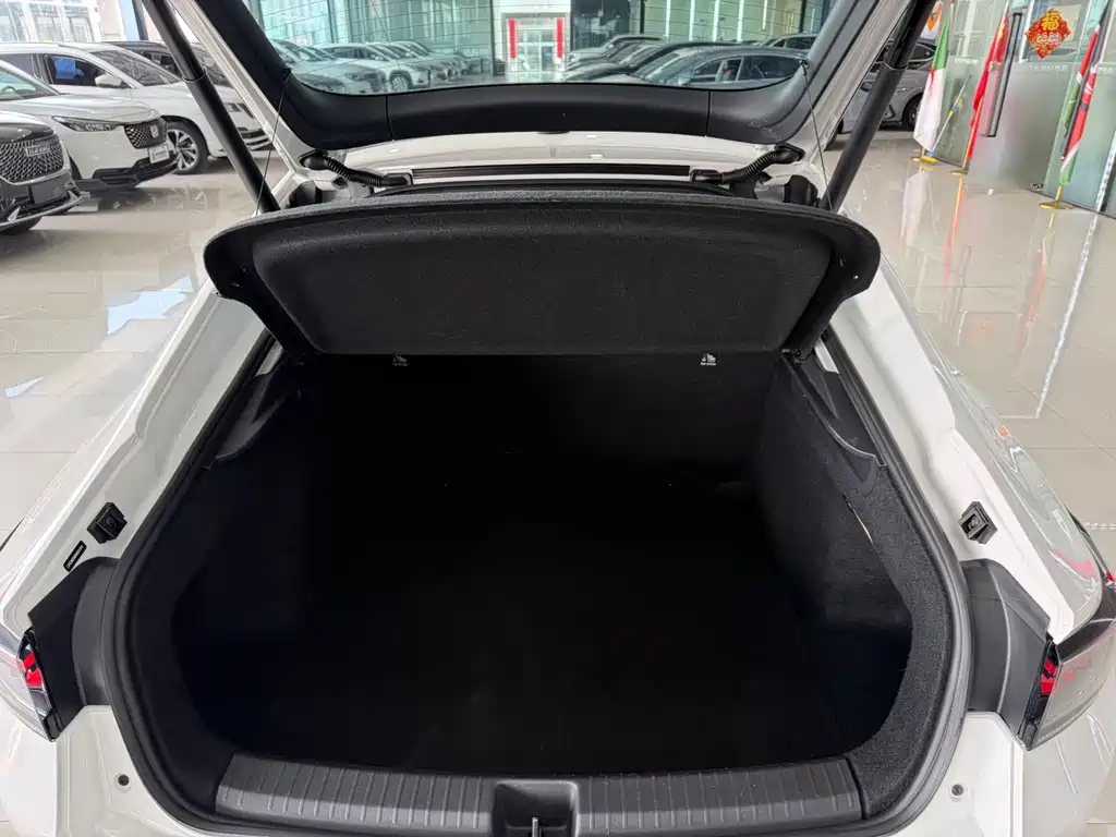 Volkswagen Lamando — миниатюра 12