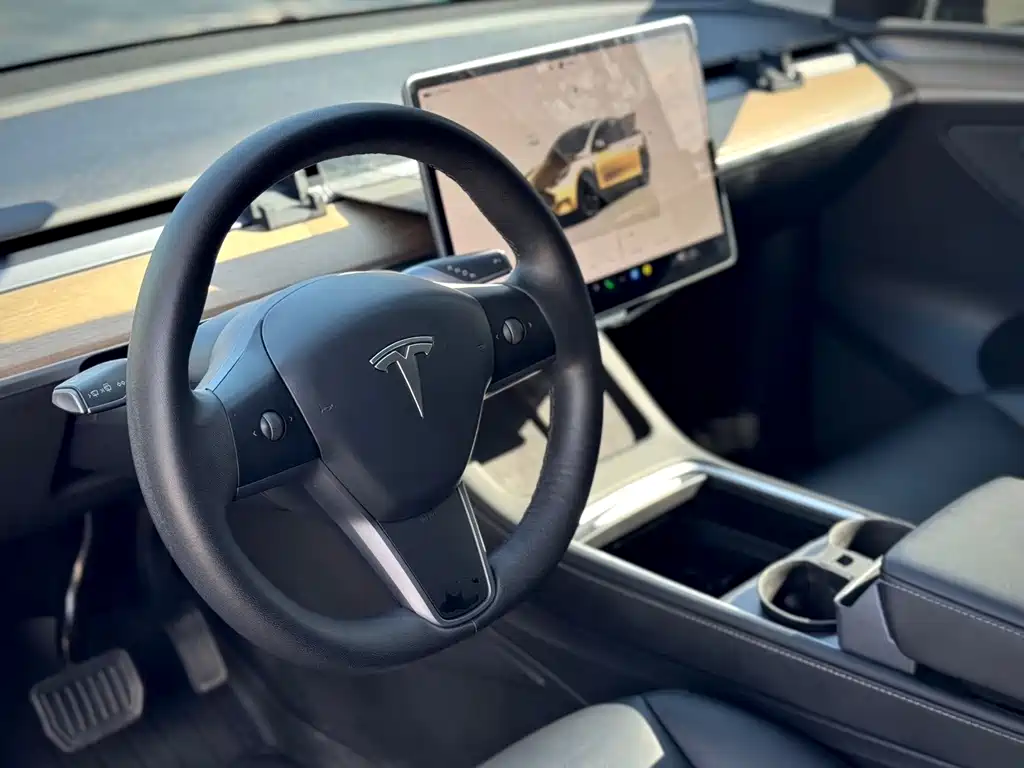 Tesla Model Y — миниатюра 4