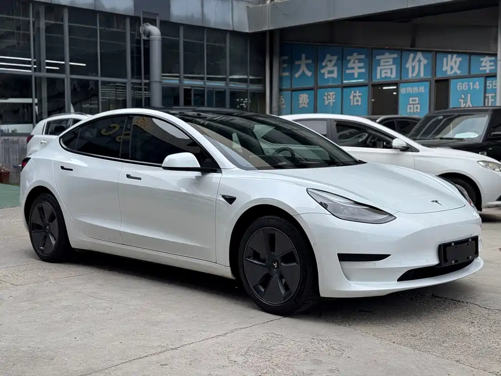 Tesla Model 3 — миниатюра 3