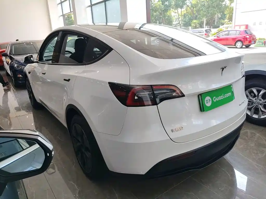Tesla Model Y — миниатюра 5