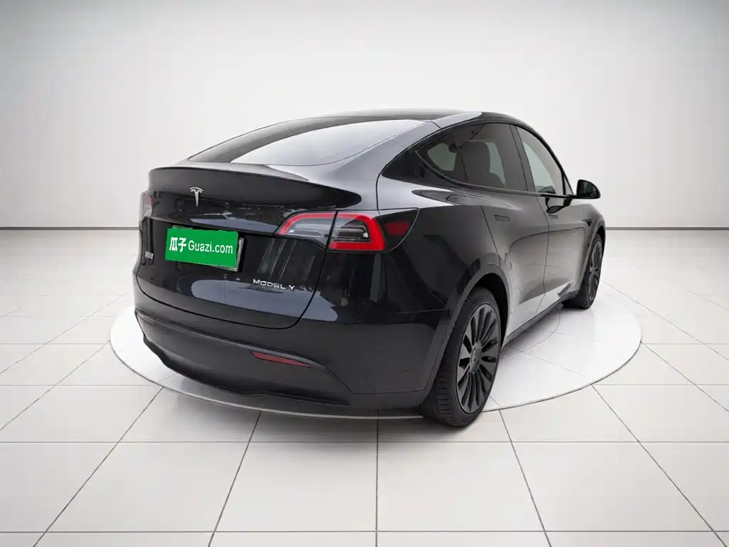 Tesla Model Y — миниатюра 4