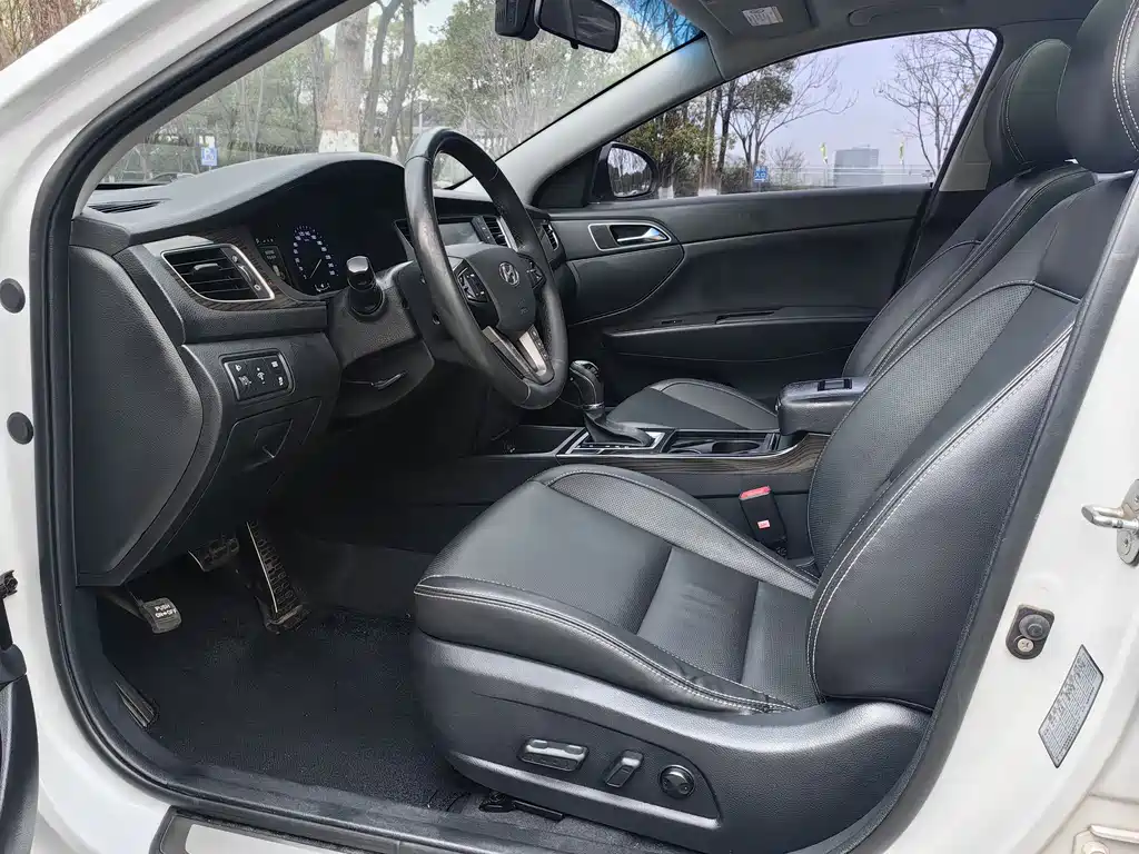 HYUNDAI NAME PICTURE