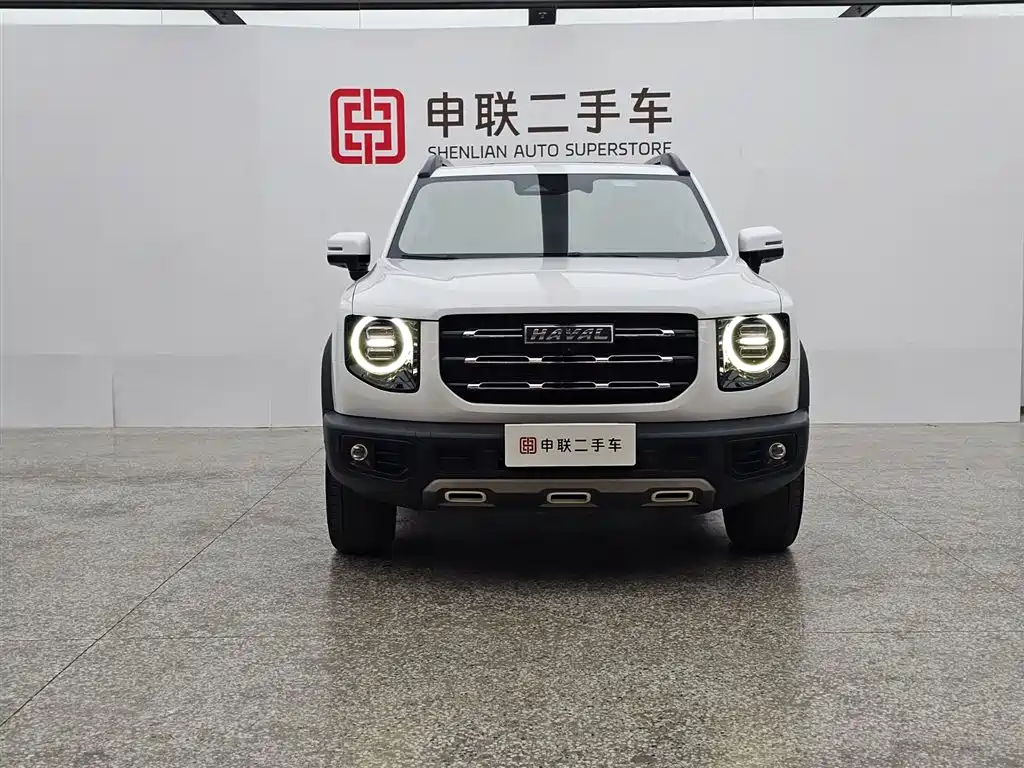 HAVAL BIG DOG