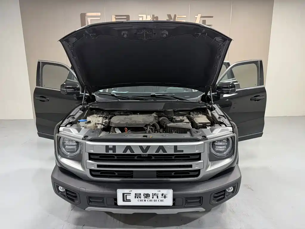 Haval Big Dog — миниатюра 16