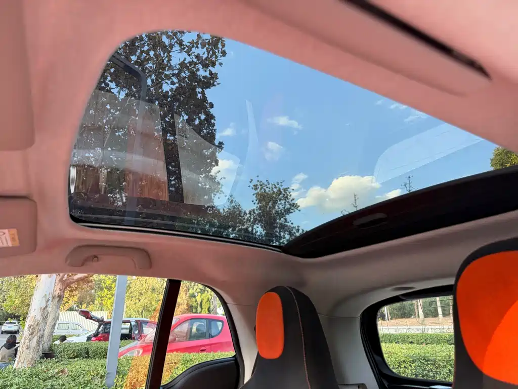 smart Smart Fortwo — миниатюра 15