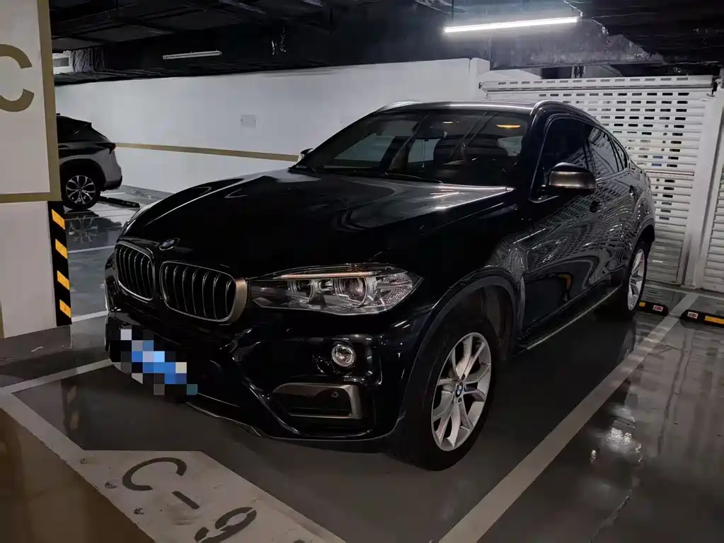 BMW X6