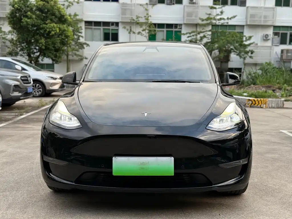 Tesla Model Y — миниатюра 2