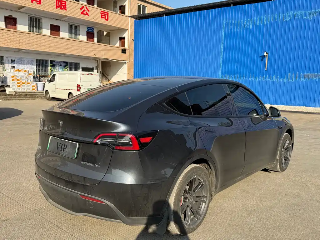 Tesla Model Y — миниатюра 5