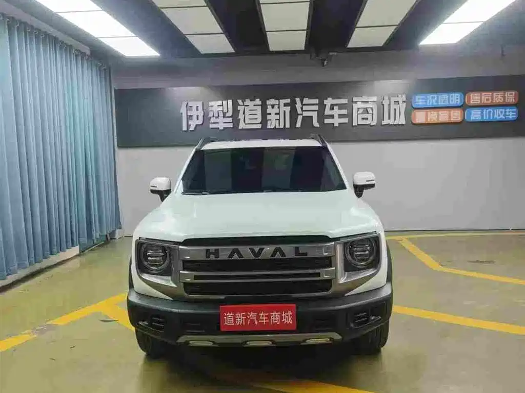 Haval Big Dog