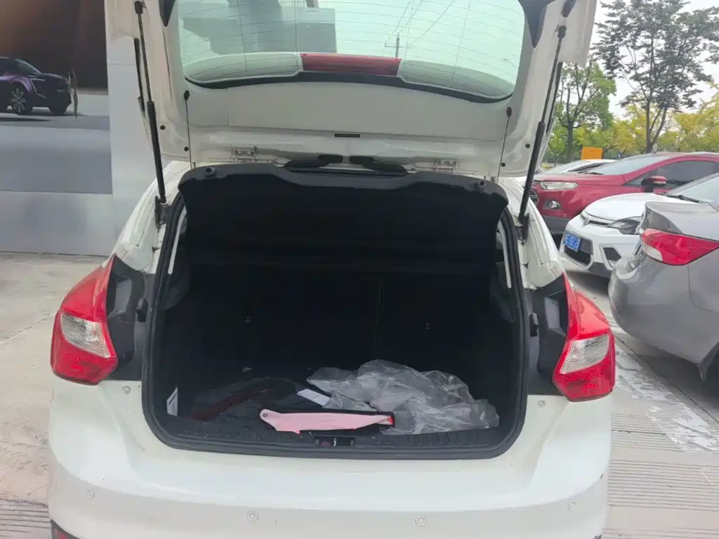 Ford Focus — миниатюра 19