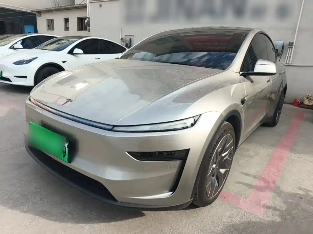 Tesla Model Y L — миниатюра 2