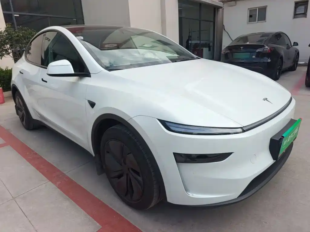 Tesla Model Y — миниатюра 4