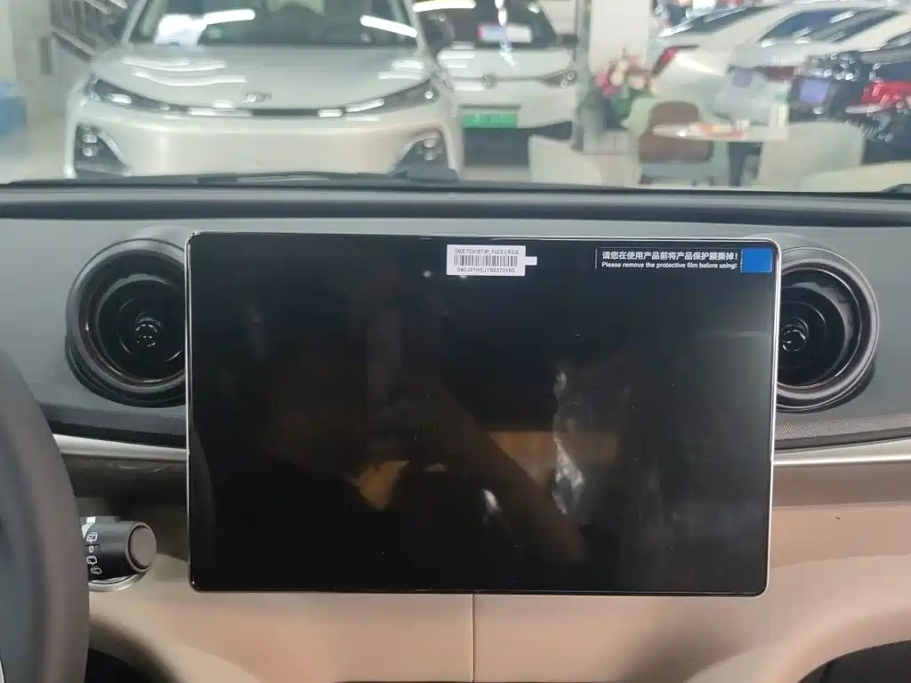 BYD Dolphin — миниатюра 16