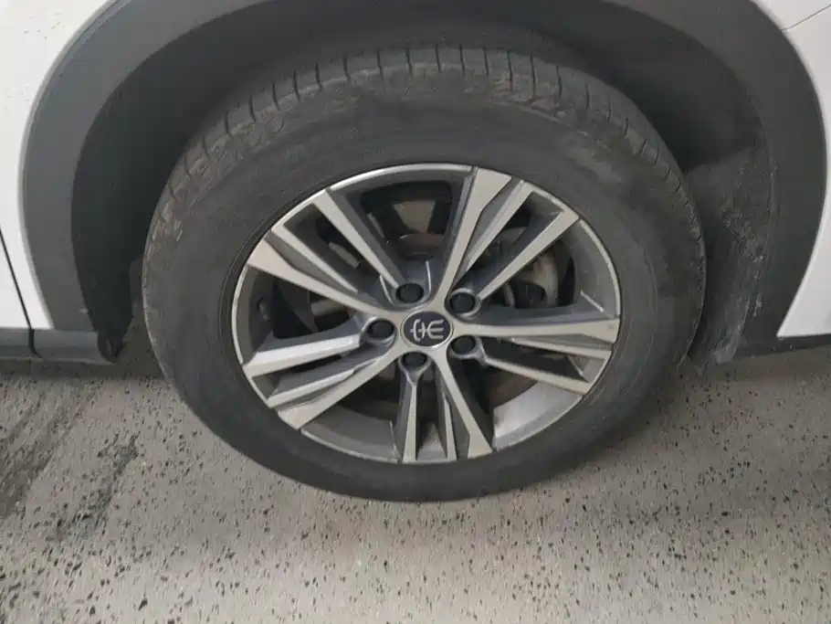 BYD Pro — миниатюра 6