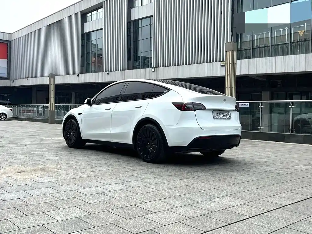 Tesla Model Y — миниатюра 9