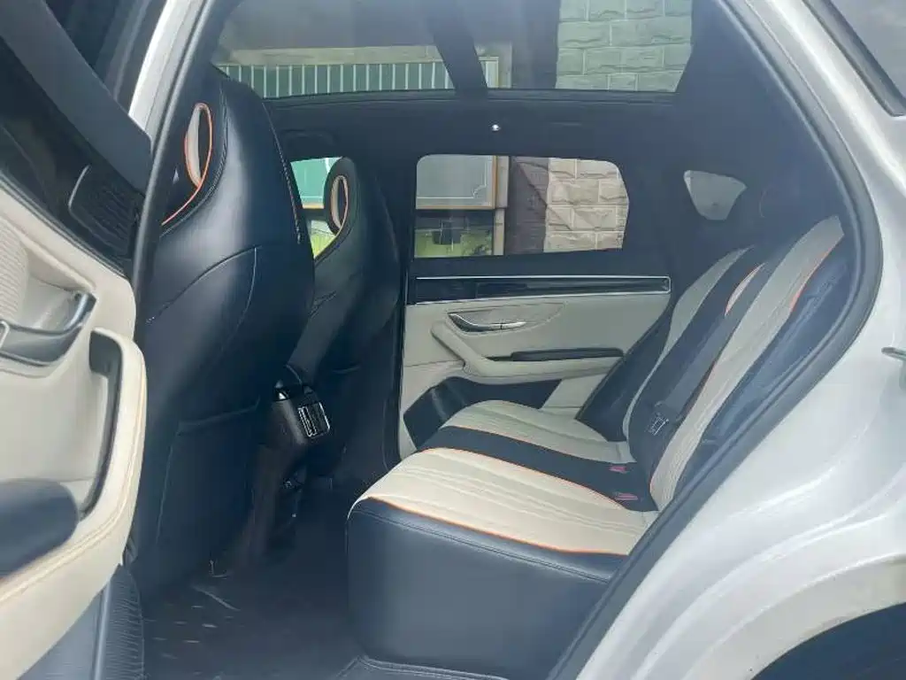 BYD PLUS New Energy — миниатюра 6
