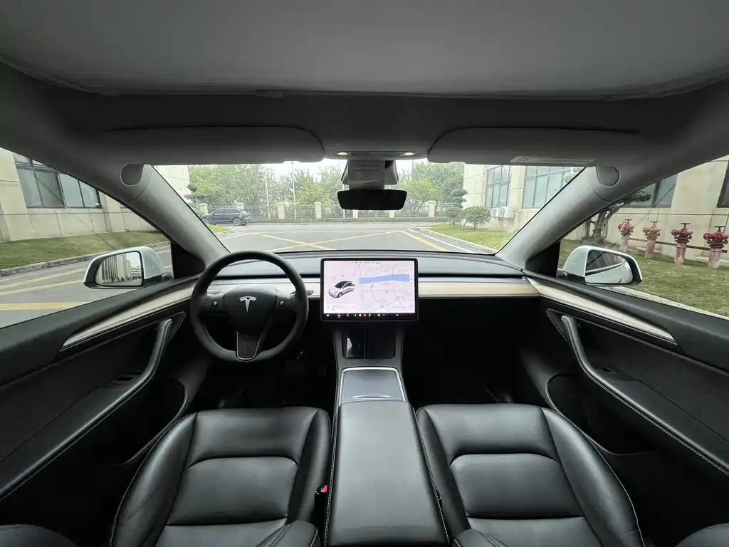 Tesla Model Y — миниатюра 9