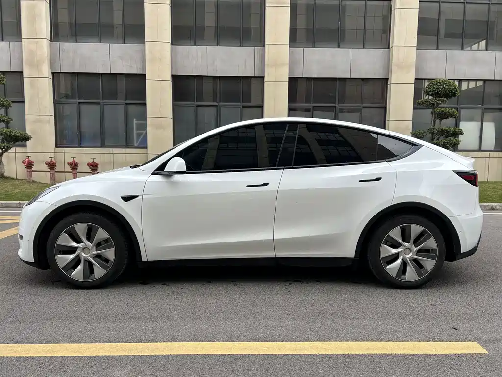 Tesla Model Y — миниатюра 20