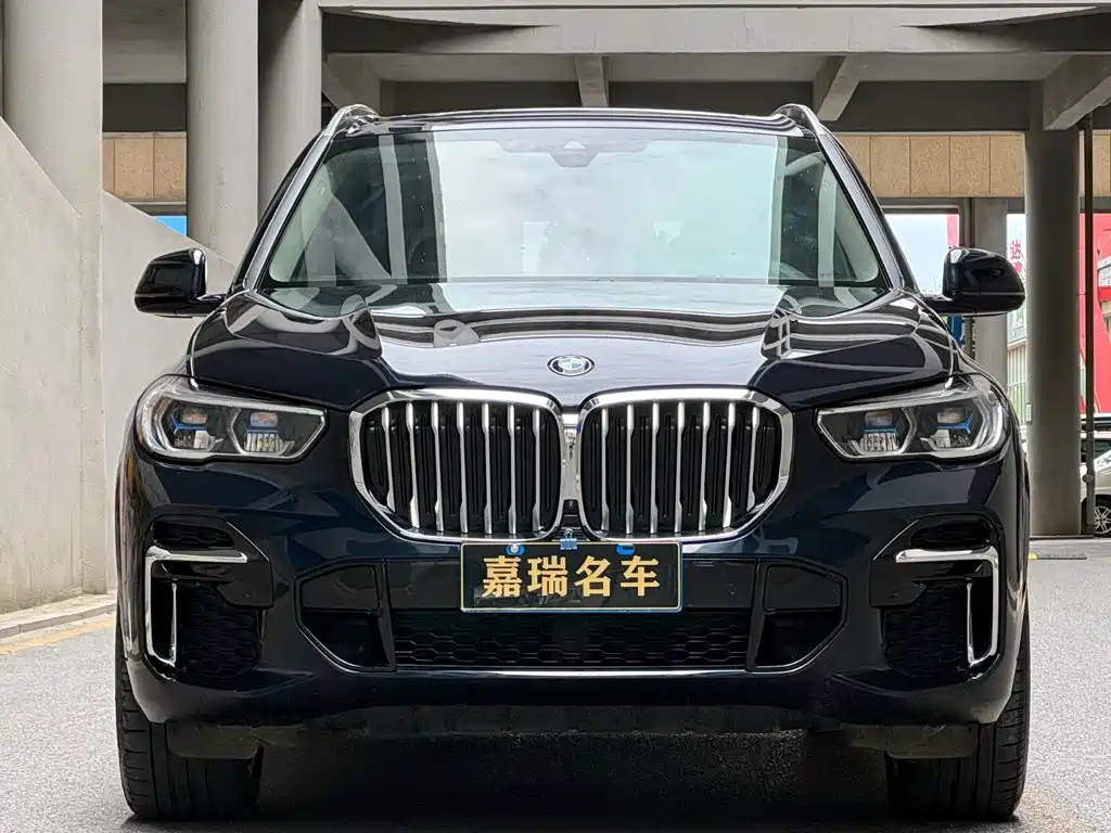 BMW X5 — миниатюра 2