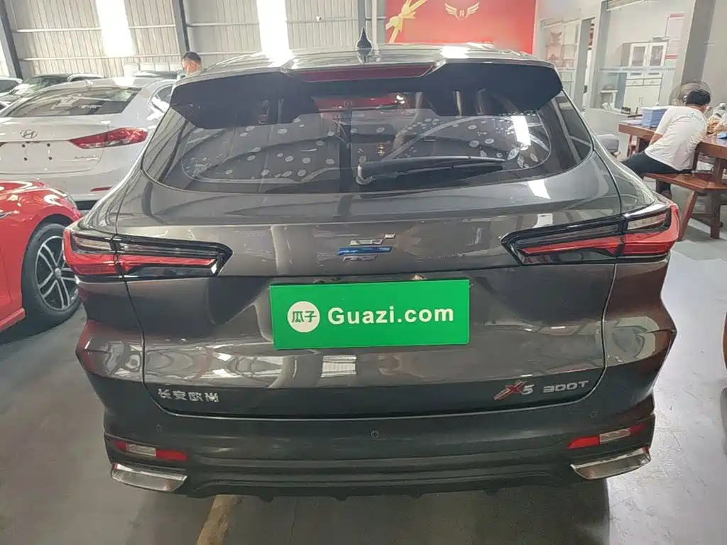 Oshan Oushang X5 — миниатюра 6