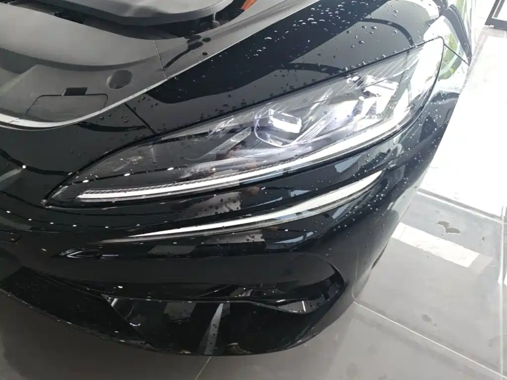 Denza Denza Z9 — миниатюра 24