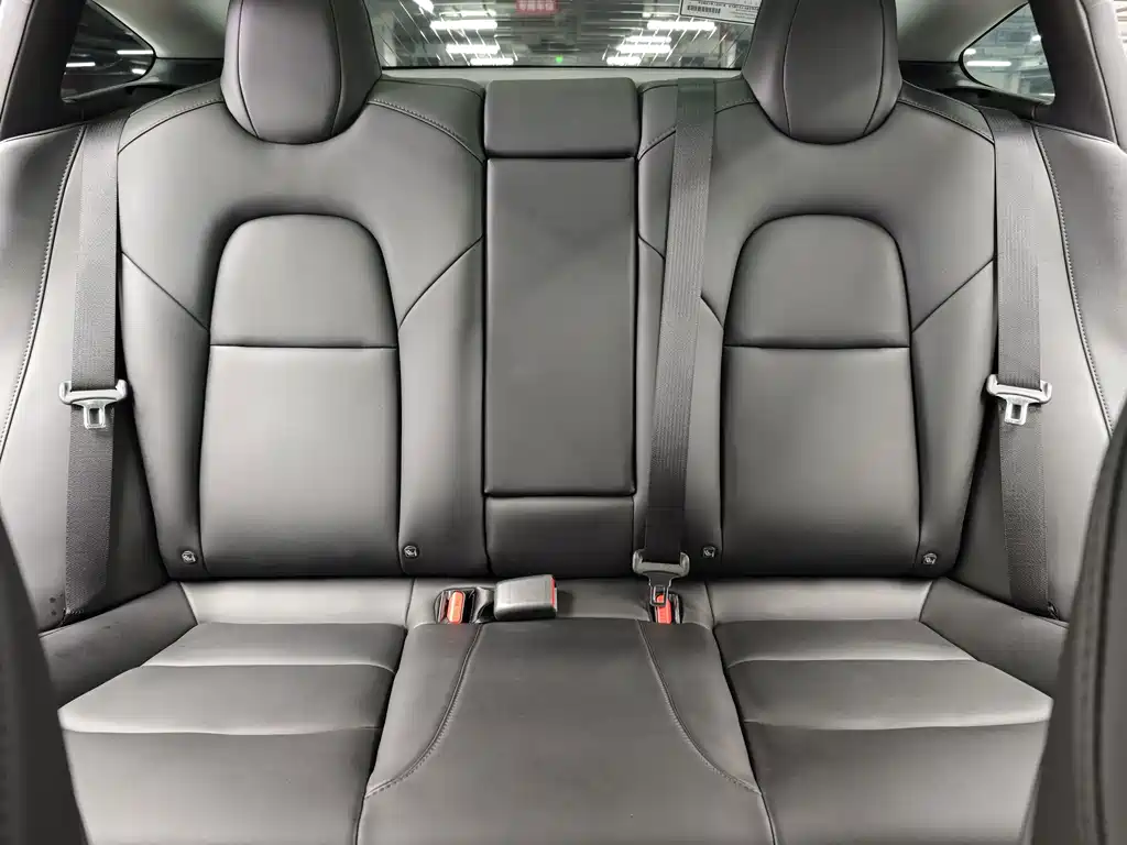 Tesla Model 3 — миниатюра 52