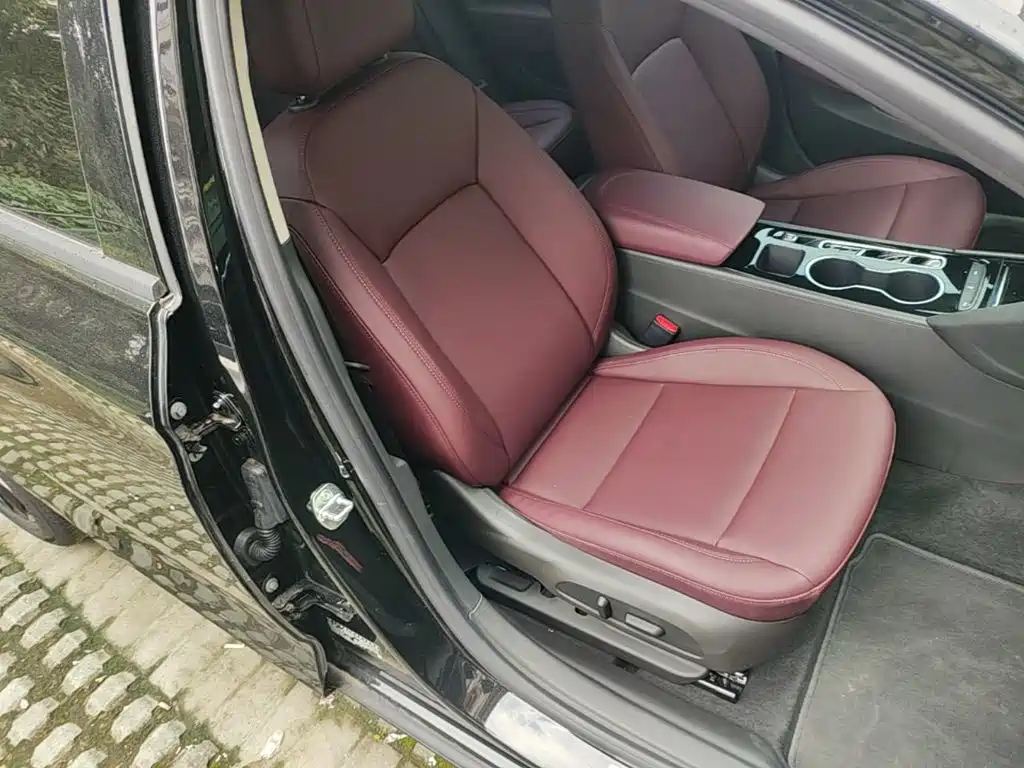 Buick Regal — миниатюра 25