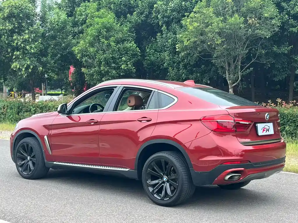 BMW X6 — миниатюра 14