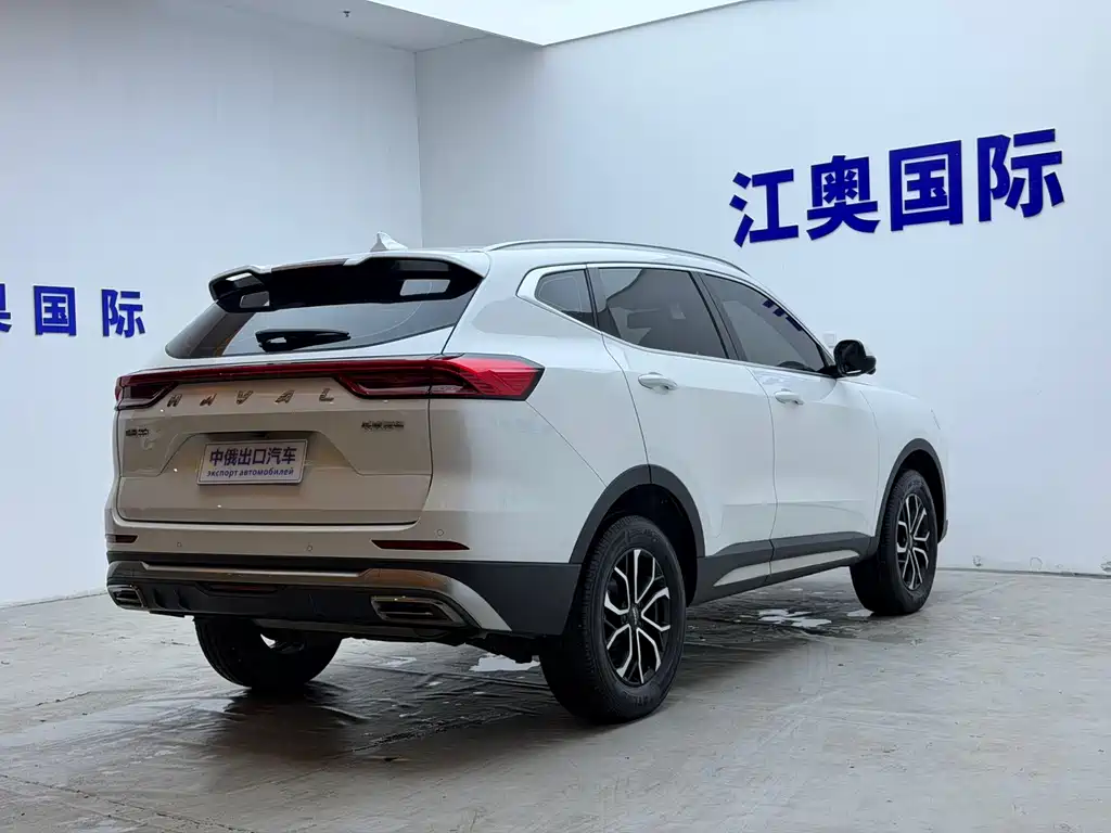 Haval H6 — миниатюра 18