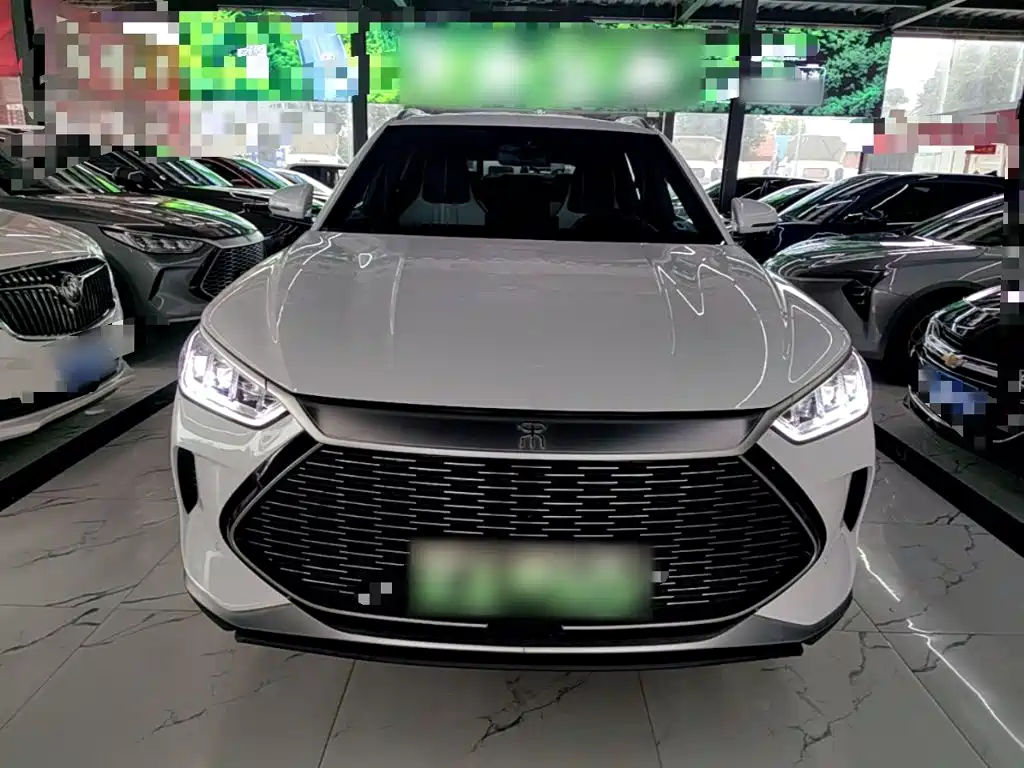 BYD PLUS New Energy — миниатюра 3