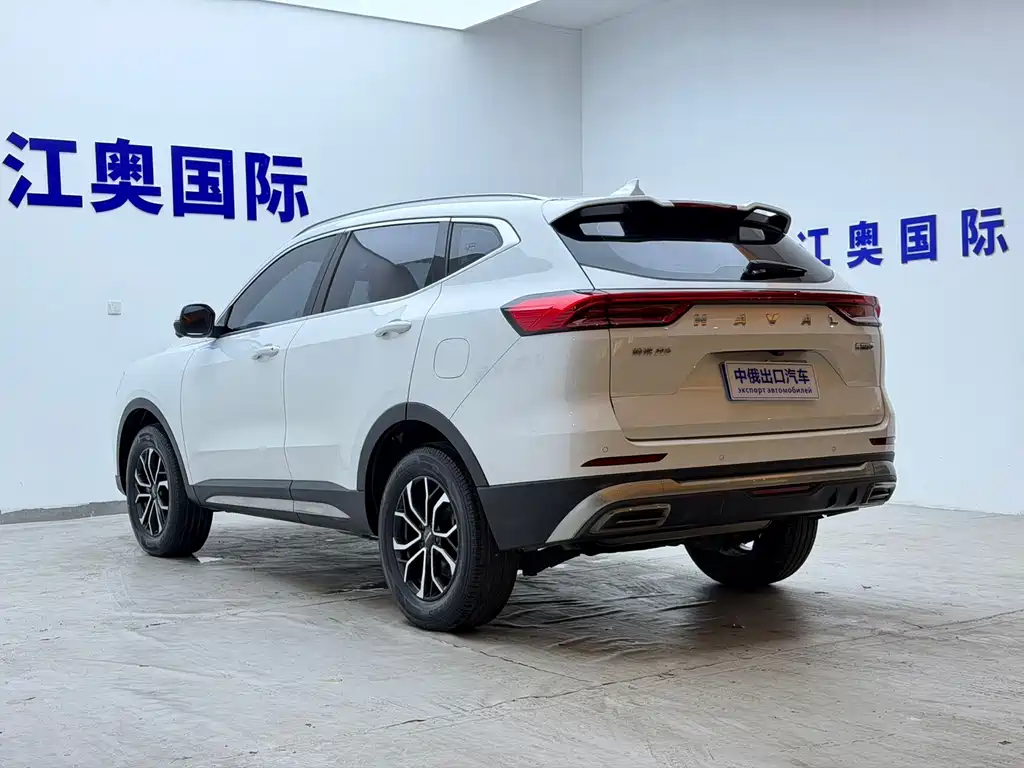 Haval H6 — миниатюра 20