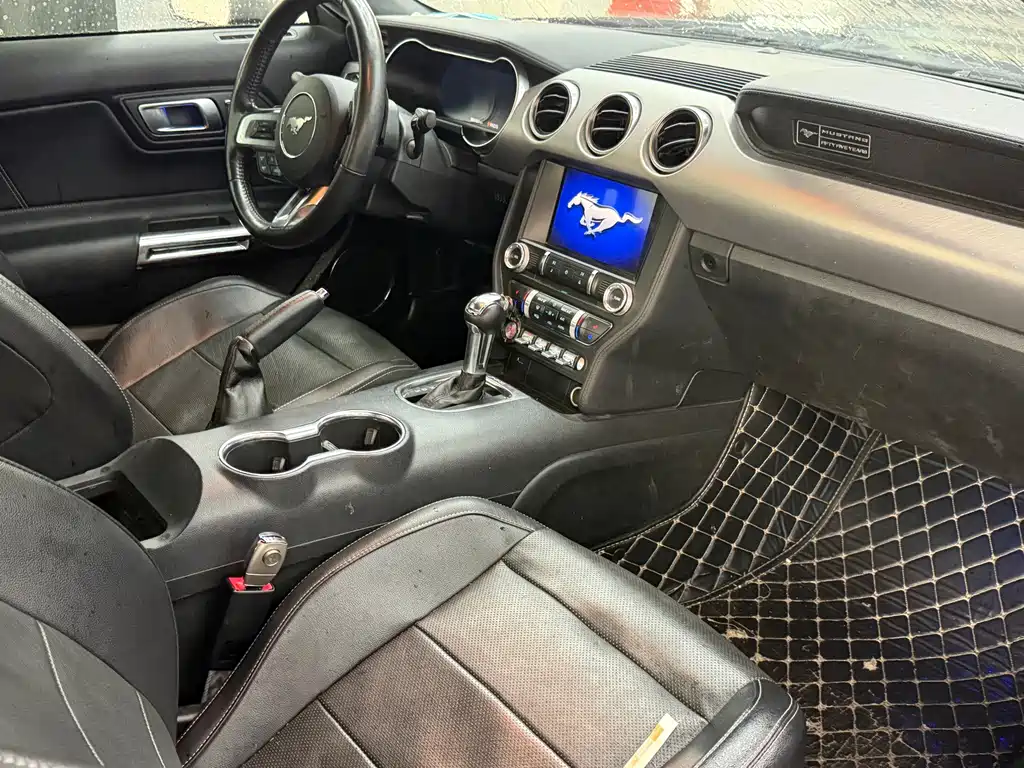 Ford Mustang — миниатюра 10